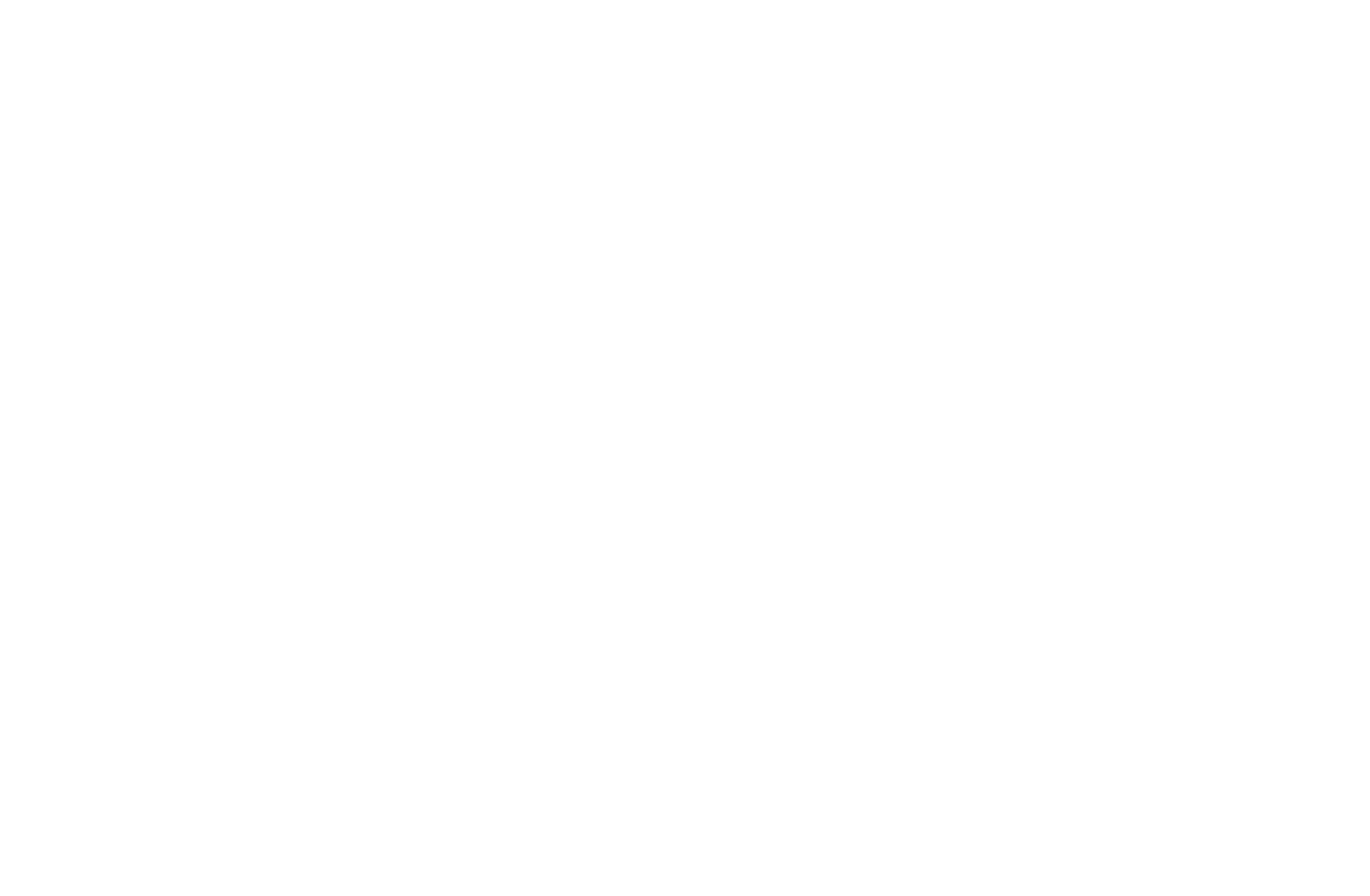 logo s4f